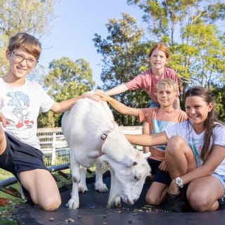 Trevena Glen Farm Animal Experience 7