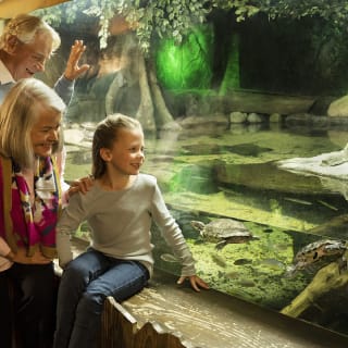 SEA LIFE London Aquarium: Ingresso libero 6