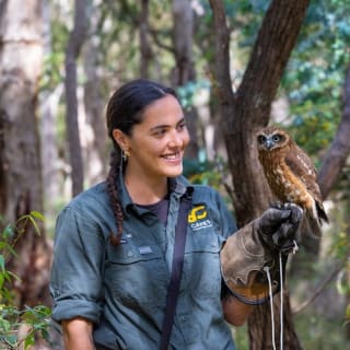 Eagles Heritage : rencontre avec des oiseaux de proie et promenade en forêt 12