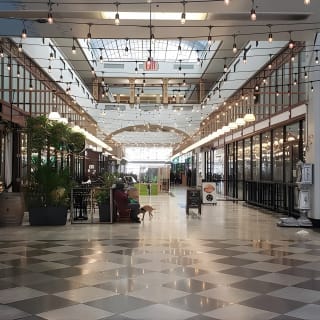 The History and Architecture of Downtown Los Angeles 8