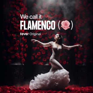 We call it Flamenco : A sensational Spanish dance show 4