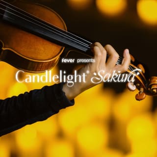 Candlelight Sakura: 甘く切ない桜ソング名曲集 4