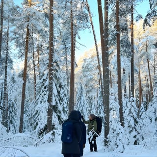 Winter Wonderland Hike in a National Park  7