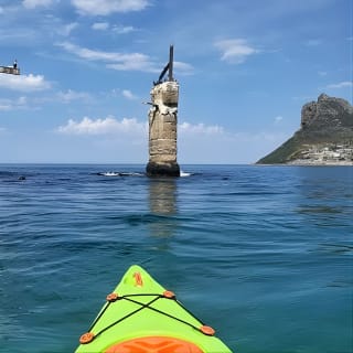 Guided Kayaking in Hout Bay 8