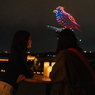 DroneArt Show: Música que ilumina la noche 5