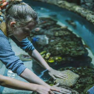 Cairns Aquarium: Entry Ticket 3