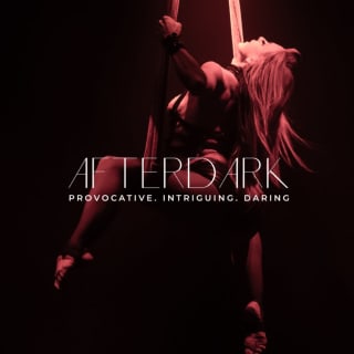 AfterDark by Pink Puma 1