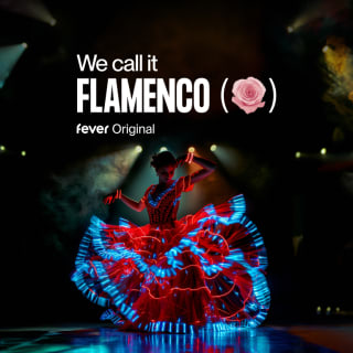 [SSI TEST] We call it Flamenco: A Dazzling Dance & Light Show 2