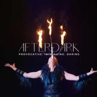 AfterDark by Pink Puma 3