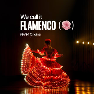 [SSI TEST] We call it Flamenco: A Dazzling Dance & Light Show 4