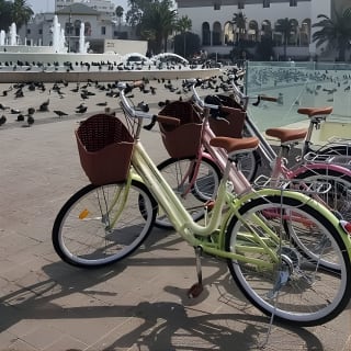 Guided Cycling Adventure in Casablanca with Licensed Tour Guide 5