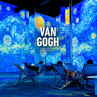 Van Gogh: L’esperienza Immersiva 4