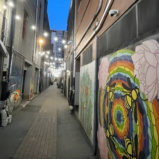Downtown Knoxville Hidden Tour w/ Ice Cream, Coffee & Tennessee River Gems 15