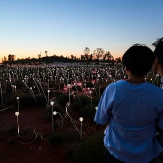 Field of Light Uluru: Sunrise Tour with Hot Drinks 2
