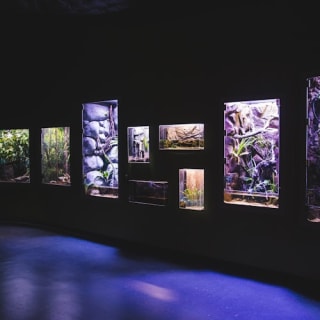 Cairns Aquarium: Entry Ticket 7