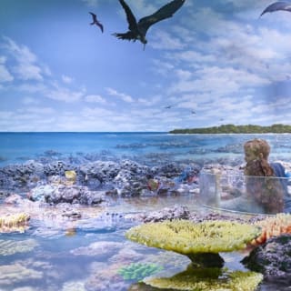 Cairns Aquarium: Entry Ticket 8