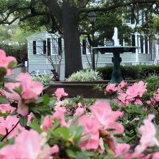Botanical Tour (by Walk With Me Savannah Tours) 7