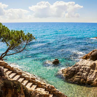 Campamento de verano para adultos, ¡en la Costa Brava! 2