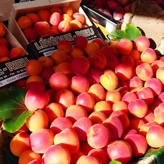 Stroll a Local French market & have a picnic 4