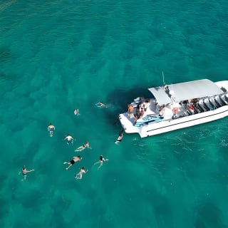 Visit to the Cliff Caves in the Palma Marine Reserve and Snorkeling 2
