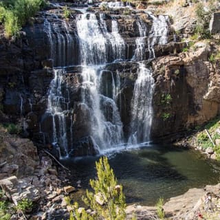 Grampians National Park and Kangaroos visiting MacKenzie Falls from Melbourne 4