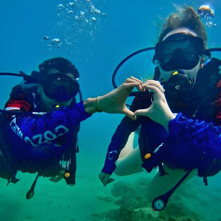 Beginner Scuba Diving with Turtles and Free Videos, San Juan 4