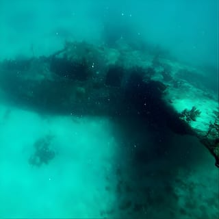 Excursión de día completo Islas del Rosario vip 2
