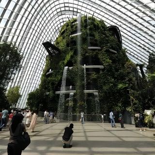 Flower Dome & Supertree Observatory 5
