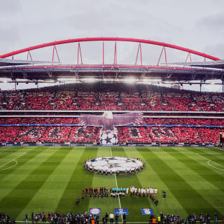 Glorioso SLB! Visita o Estádio e Museu do Benfica com cachecol 1