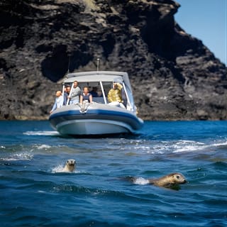 Sea Wirrina Tour - From Wirrina Cove  3