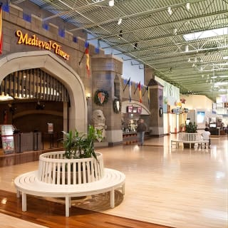 Sawgrass Mills Mall - Transporte - Ida y vuelta 4