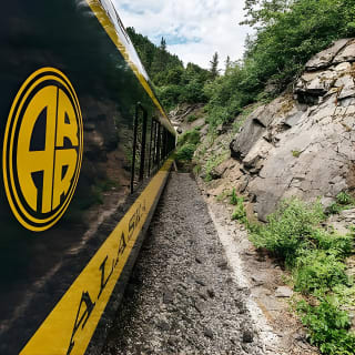 Bears, Trains & Icebergs Tour 5