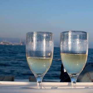 Private sailing and paddlesurfing tour with skipper up to 11 people 17