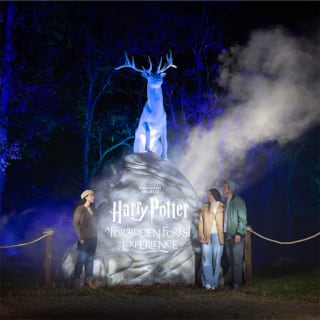 Harry Potter™: A Forbidden Forest Experience 5