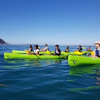 Guided Kayaking in Hout Bay 9