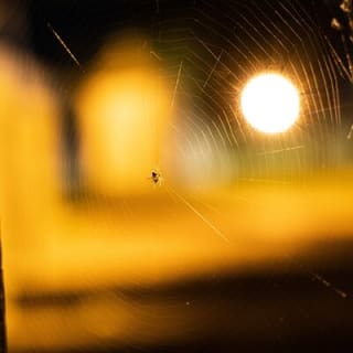 RVA Ghosts Shockoe Bottom: Sustos Sinister by US Ghost Adventures 23
