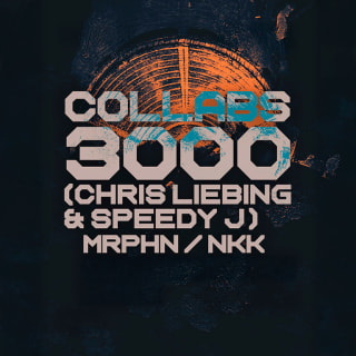Decibel in the Park: Collabs 3000 - Firenze 1