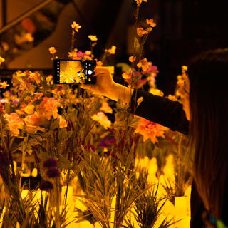 Candlelight Spring: Mozart & Chopin 6