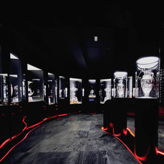 Glorioso SLB! Visita o Estádio e Museu do Benfica com cachecol 3