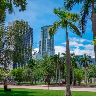 Miami Scavenger Hunt: After Sunrise, Miami 1
