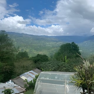 Kaffee-Farm-Tour von Bogotá – Sei einen Tag lang Farmer 31