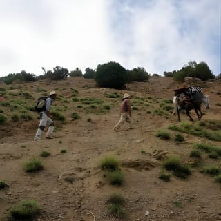 Au départ de Marrakech randonnée à la journée dans la vallée d'Imlil et la kasbah Toubkal 14