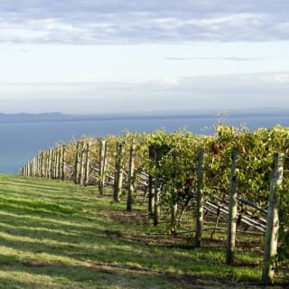 Around the Bay: Sightseeing & Cruise Day Tour in Melbourne 6