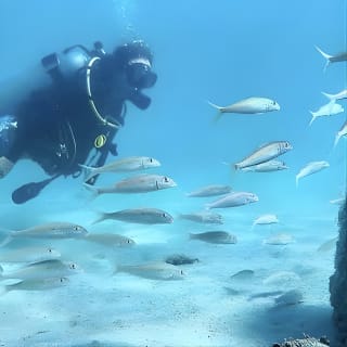 Beginner Scuba Diving Experience With Videos in West Palm Beach 3