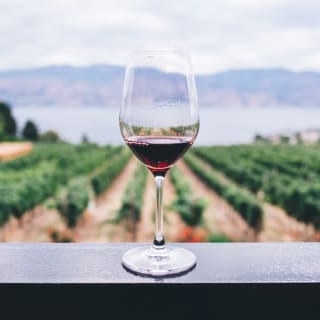 Private English Wine Tour from Kent 2