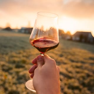 Private English Wine Tour from Kent 3