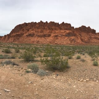 Excursión de 1 día por el Valle del Fuego y el Parque de Zion 5