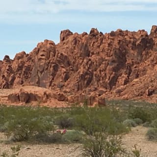 Excursión de 1 día por el Valle del Fuego y el Parque de Zion 6