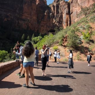 Excursión de 1 día por el Valle del Fuego y el Parque de Zion 7