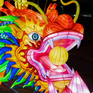 Winter Lantern Festival (Williamsburg, VA) 3